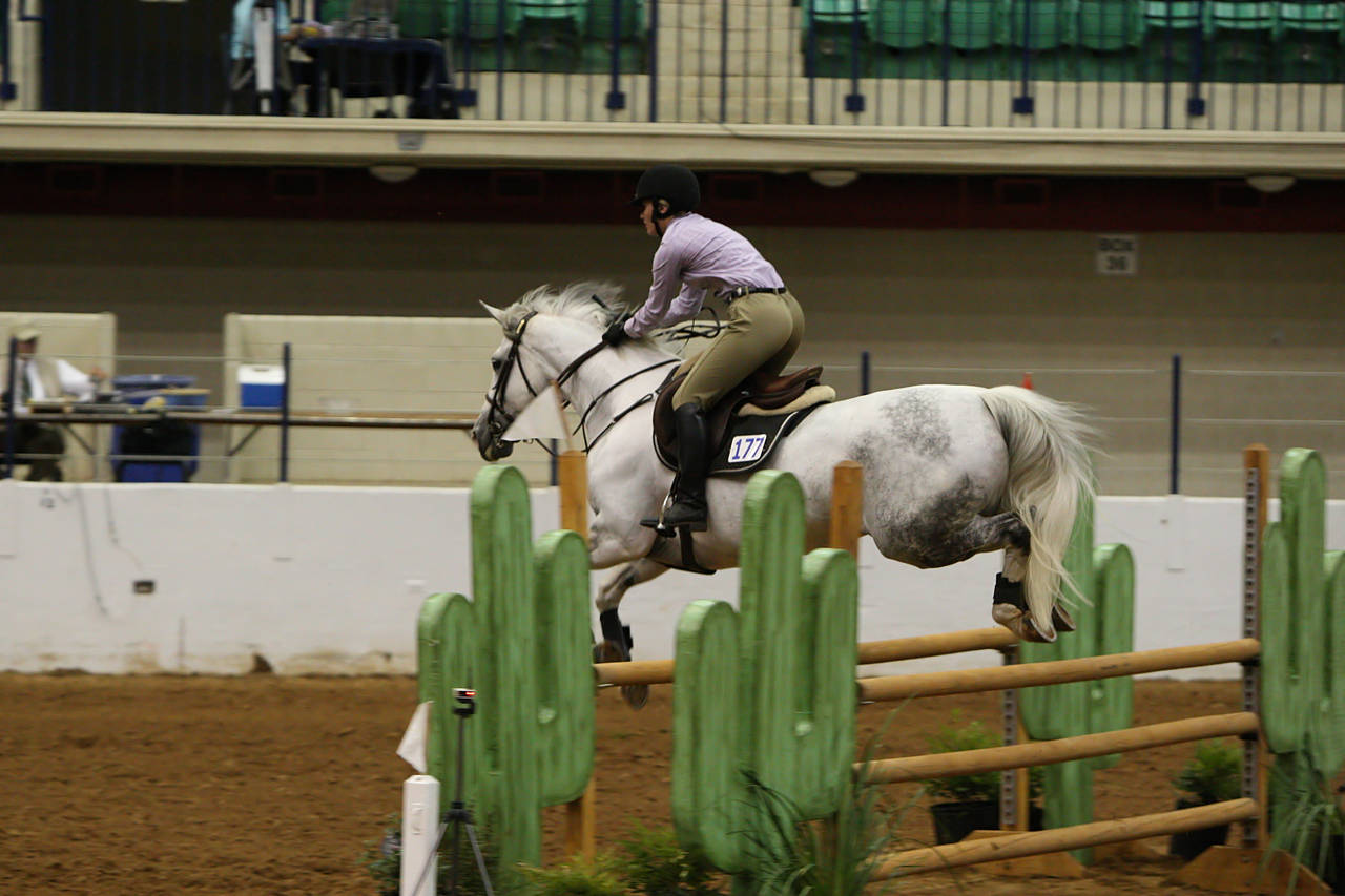 pictures/HorseShows/WacoJune2008/JAM_1199.jpg