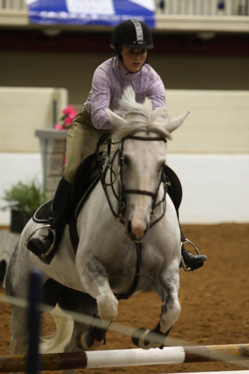 pictures/HorseShows/WacoJune2008/JAM_1201.jpg