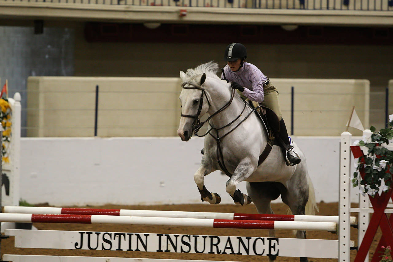 pictures/HorseShows/WacoJune2008/JAM_1203.jpg