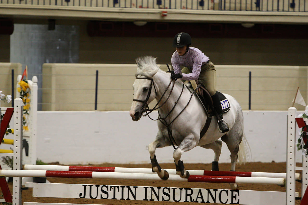 pictures/HorseShows/WacoJune2008/JAM_1204.jpg