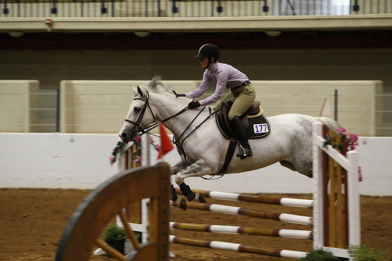 pictures/HorseShows/WacoJune2008/JAM_1211.jpg