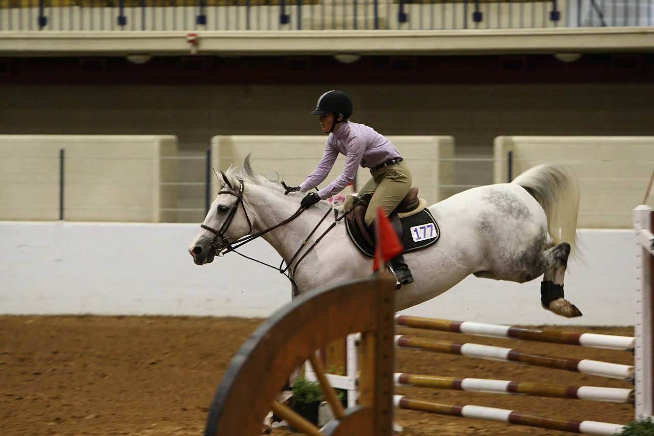 pictures/HorseShows/WacoJune2008/JAM_1212.jpg