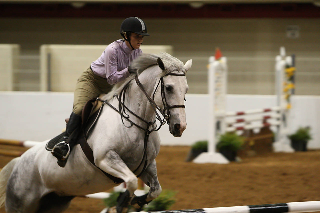 pictures/HorseShows/WacoJune2008/JAM_1219.jpg