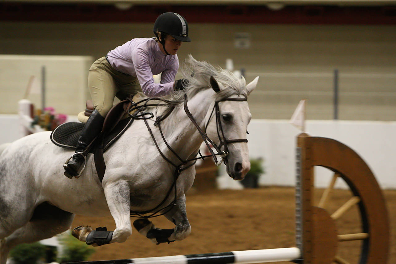 pictures/HorseShows/WacoJune2008/JAM_1220.jpg