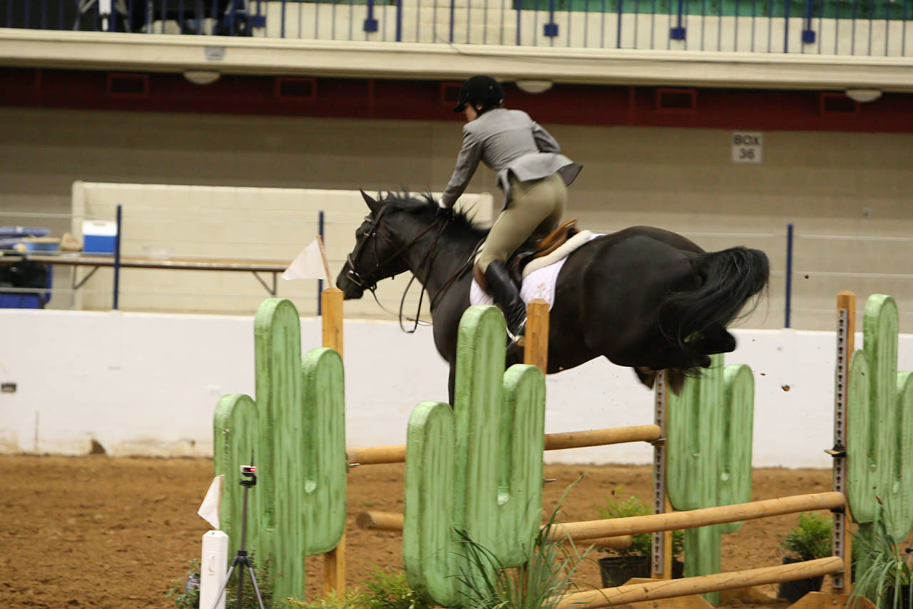 pictures/HorseShows/WacoJune2008/JAM_1234.jpg