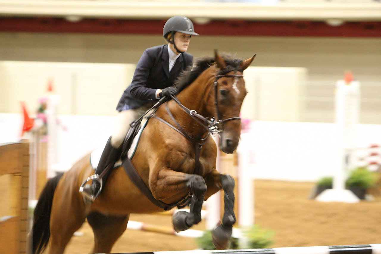 pictures/HorseShows/WacoJune2008/JAM_1240.jpg