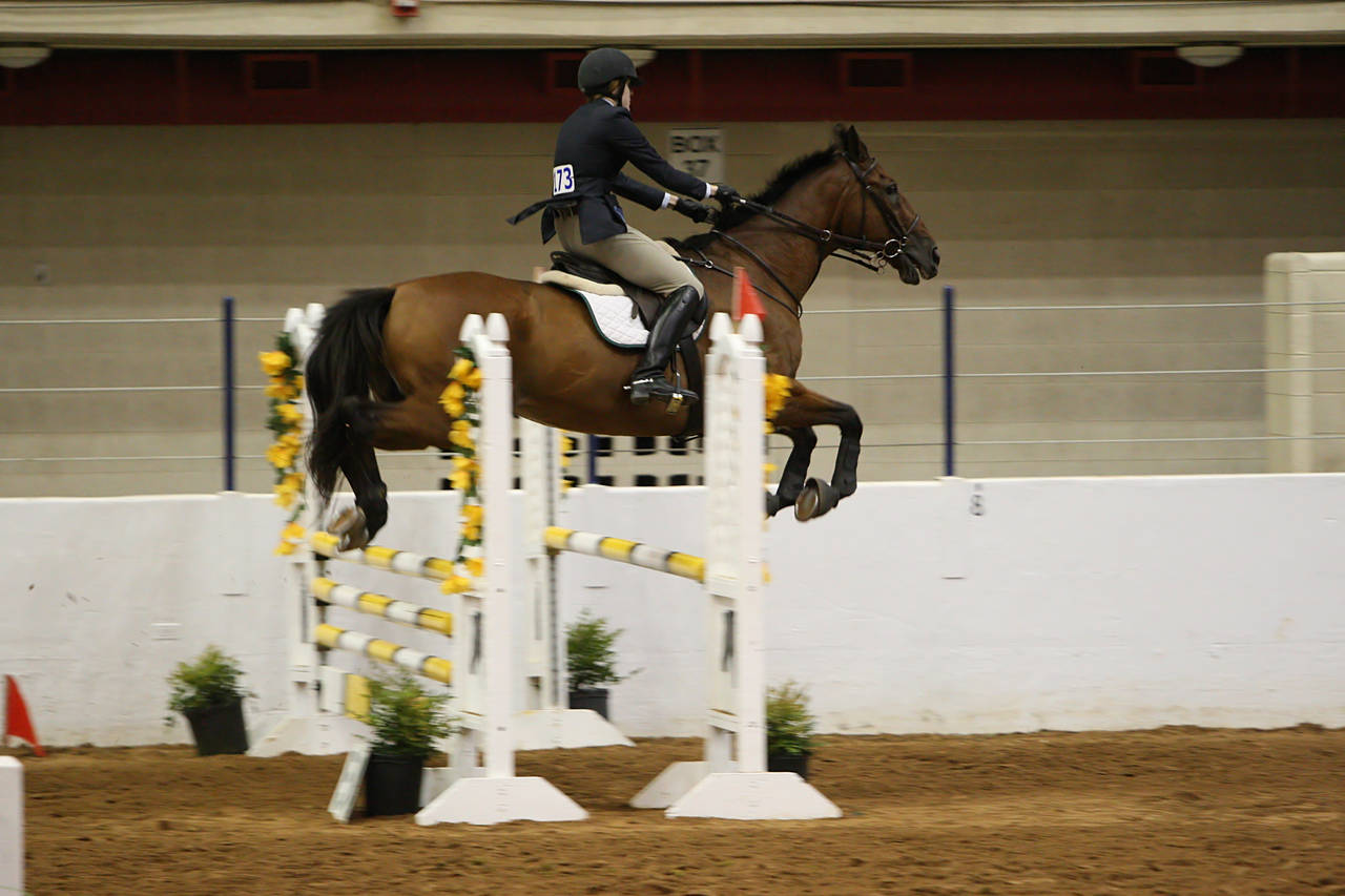 pictures/HorseShows/WacoJune2008/JAM_1251.jpg