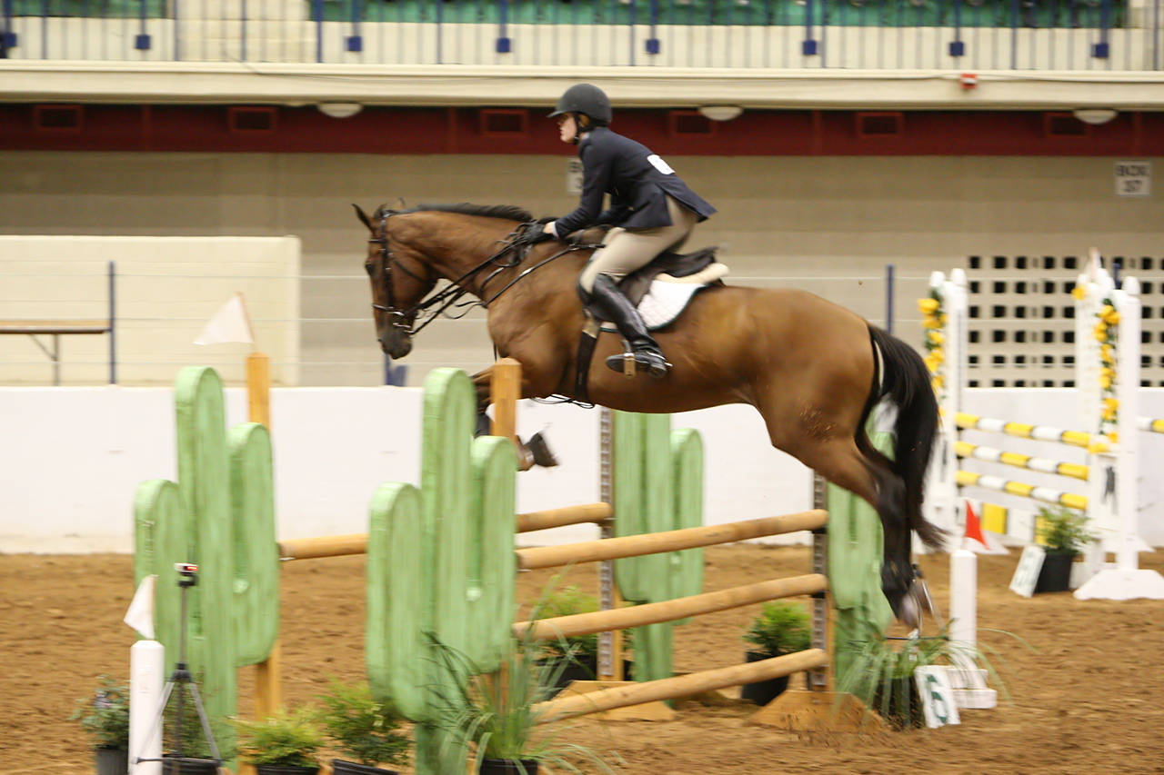 pictures/HorseShows/WacoJune2008/JAM_1253.jpg