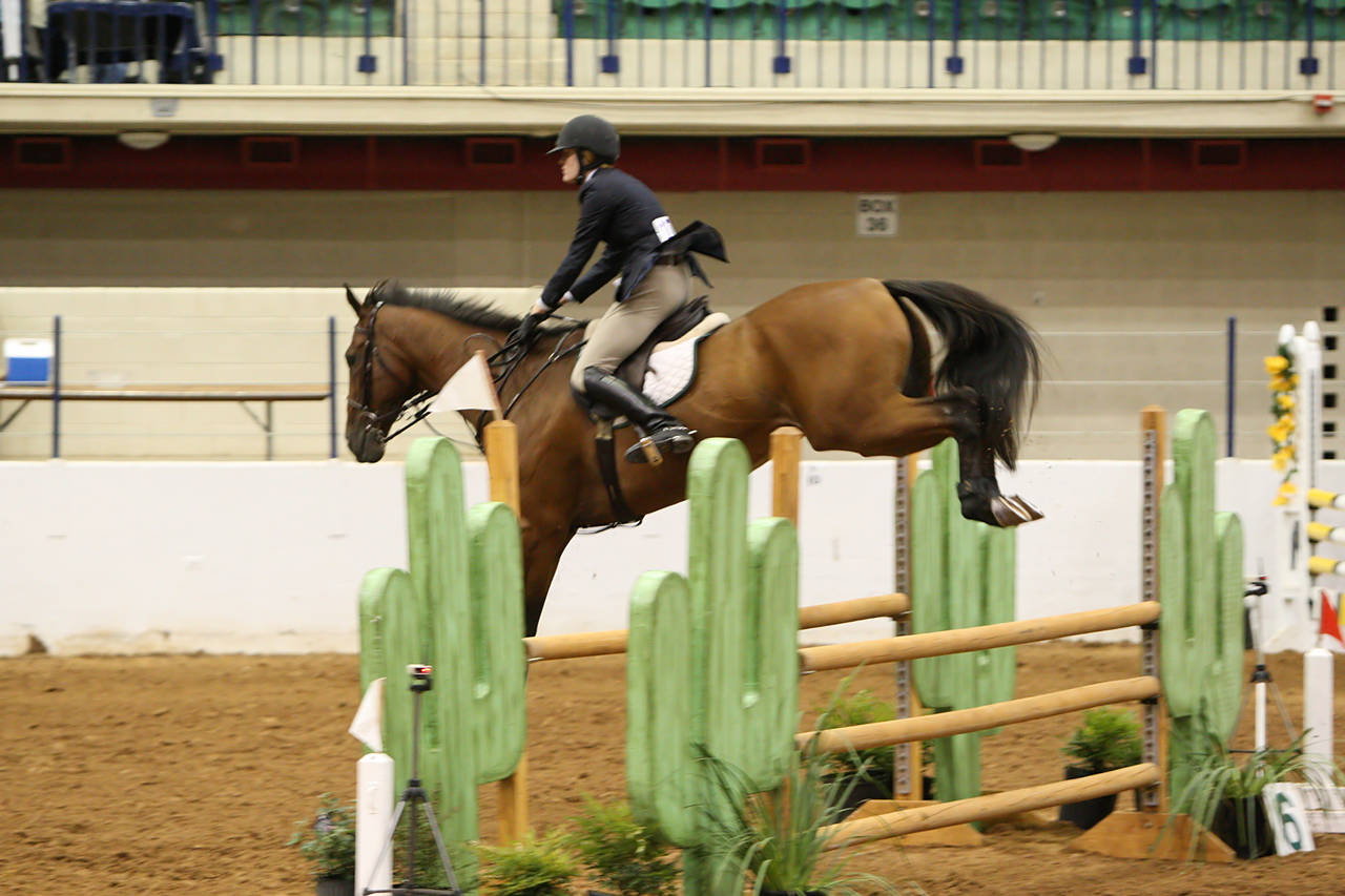 pictures/HorseShows/WacoJune2008/JAM_1255.jpg