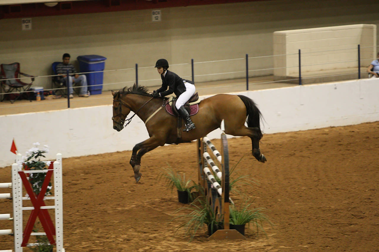 pictures/HorseShows/WacoJune2008/JAM_1261.jpg