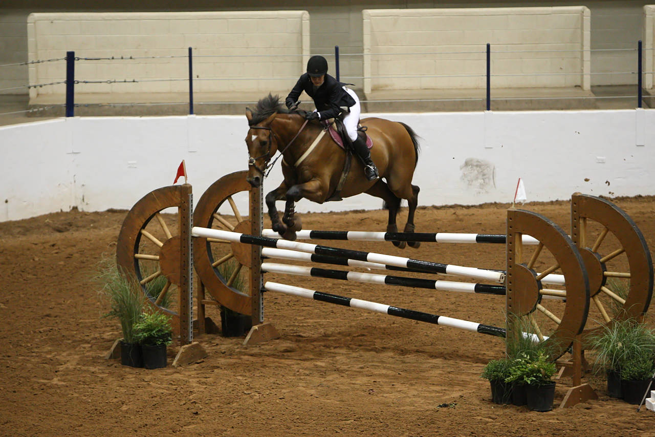 pictures/HorseShows/WacoJune2008/JAM_1263.jpg