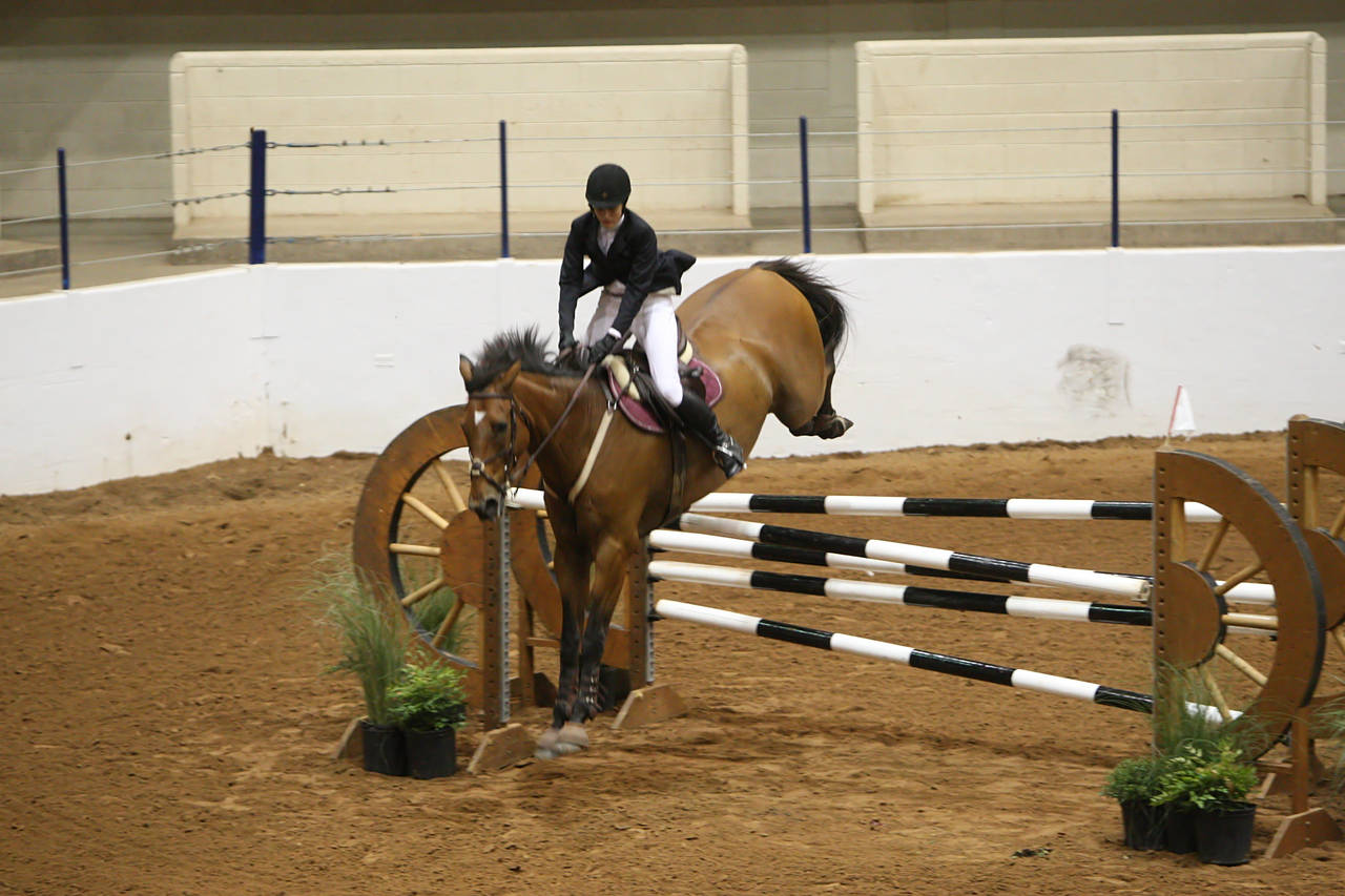 pictures/HorseShows/WacoJune2008/JAM_1265.jpg