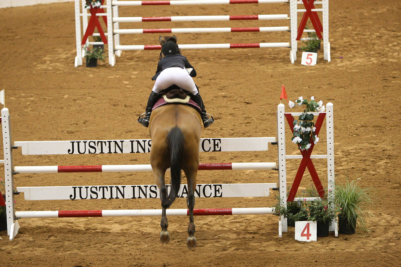 pictures/HorseShows/WacoJune2008/JAM_1266.jpg