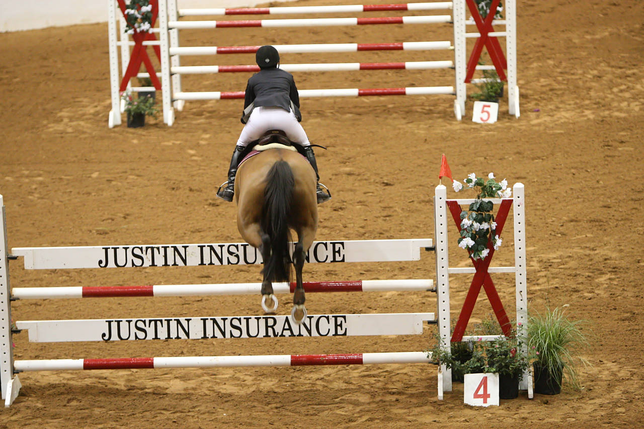 pictures/HorseShows/WacoJune2008/JAM_1267.jpg