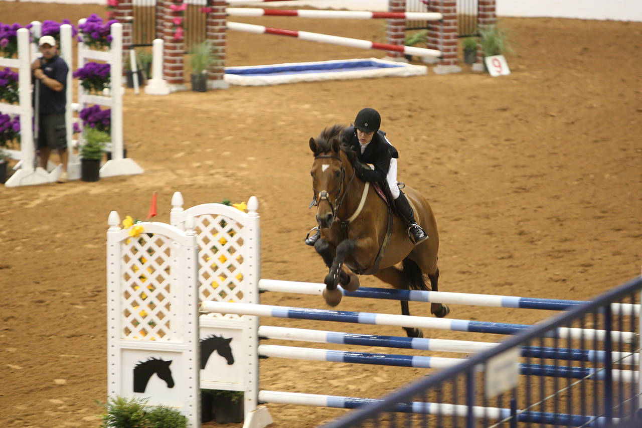 pictures/HorseShows/WacoJune2008/JAM_1273.jpg