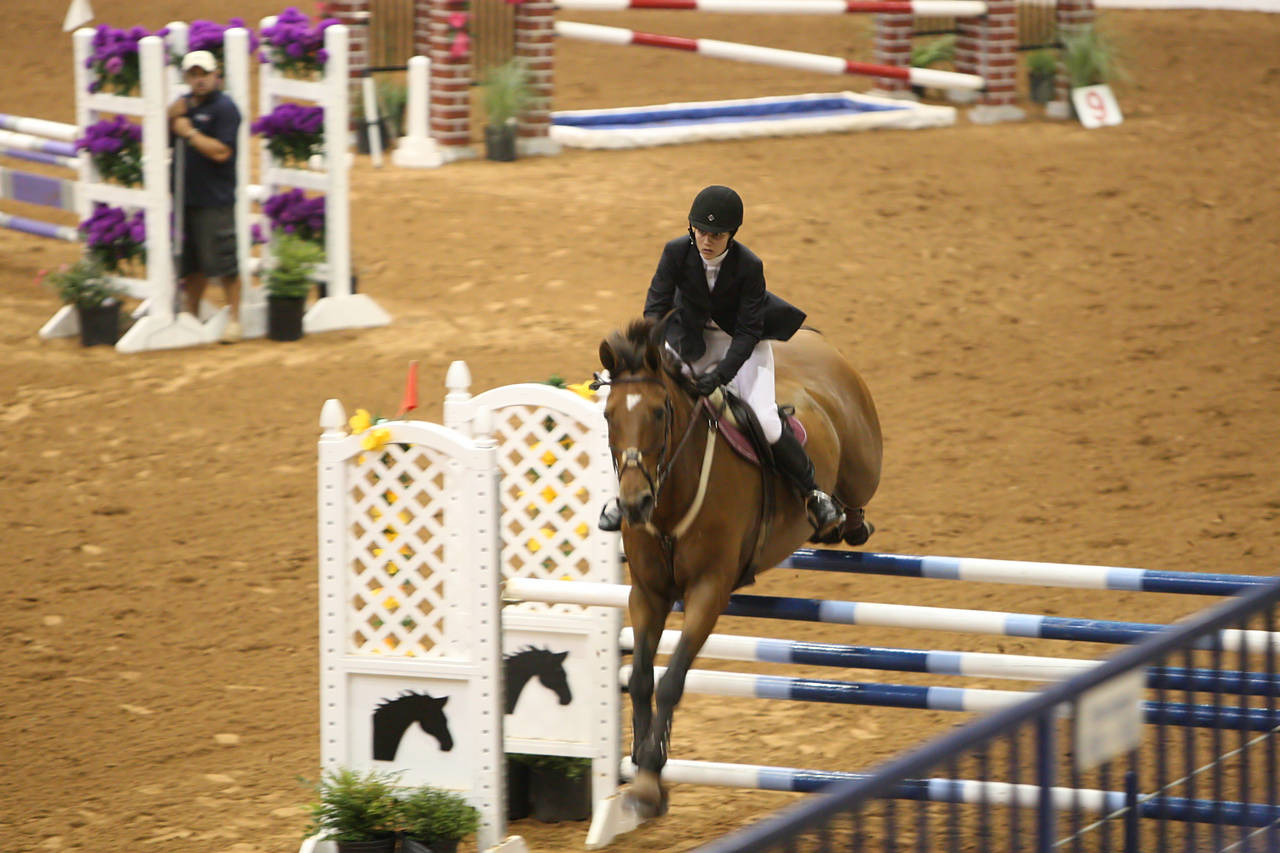 pictures/HorseShows/WacoJune2008/JAM_1274.jpg