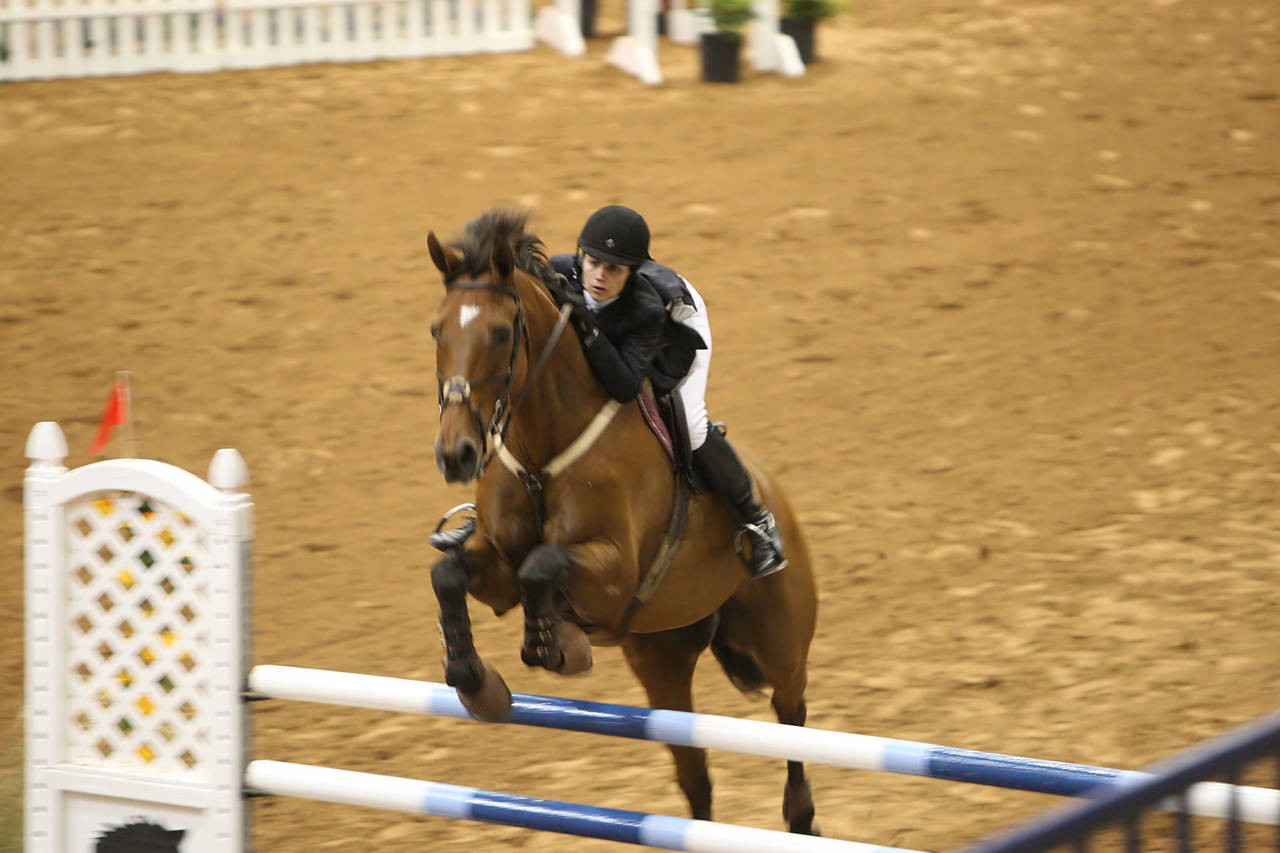 pictures/HorseShows/WacoJune2008/JAM_1275.jpg