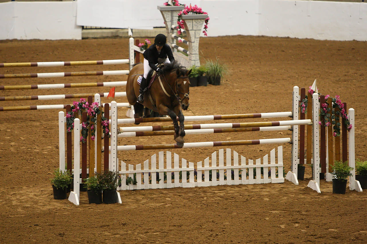 pictures/HorseShows/WacoJune2008/JAM_1284.jpg