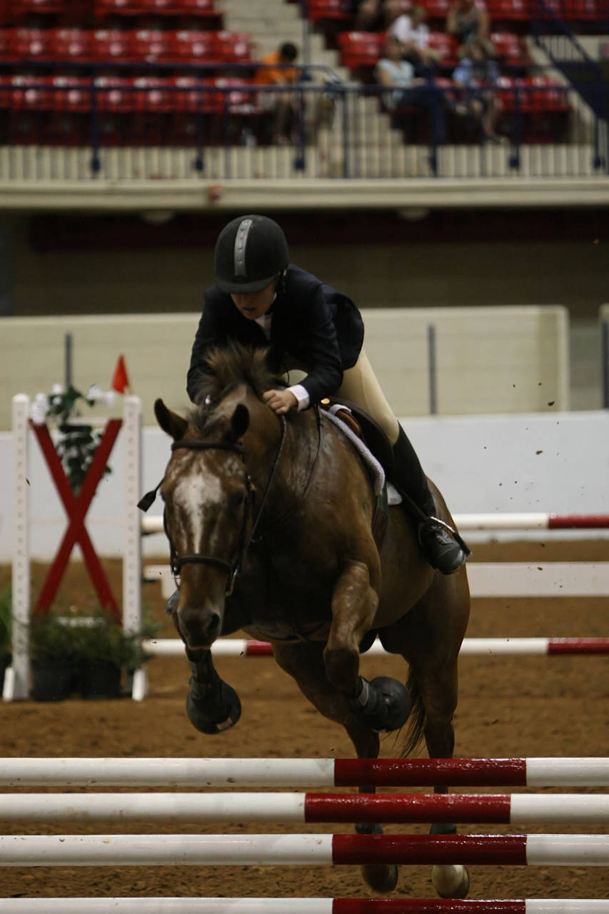 pictures/HorseShows/WacoJune2008/JAM_1363.jpg