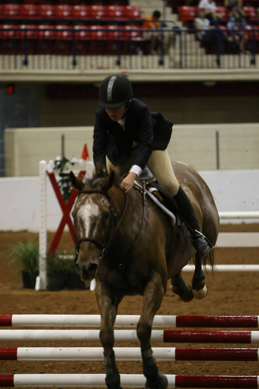 pictures/HorseShows/WacoJune2008/JAM_1364.jpg