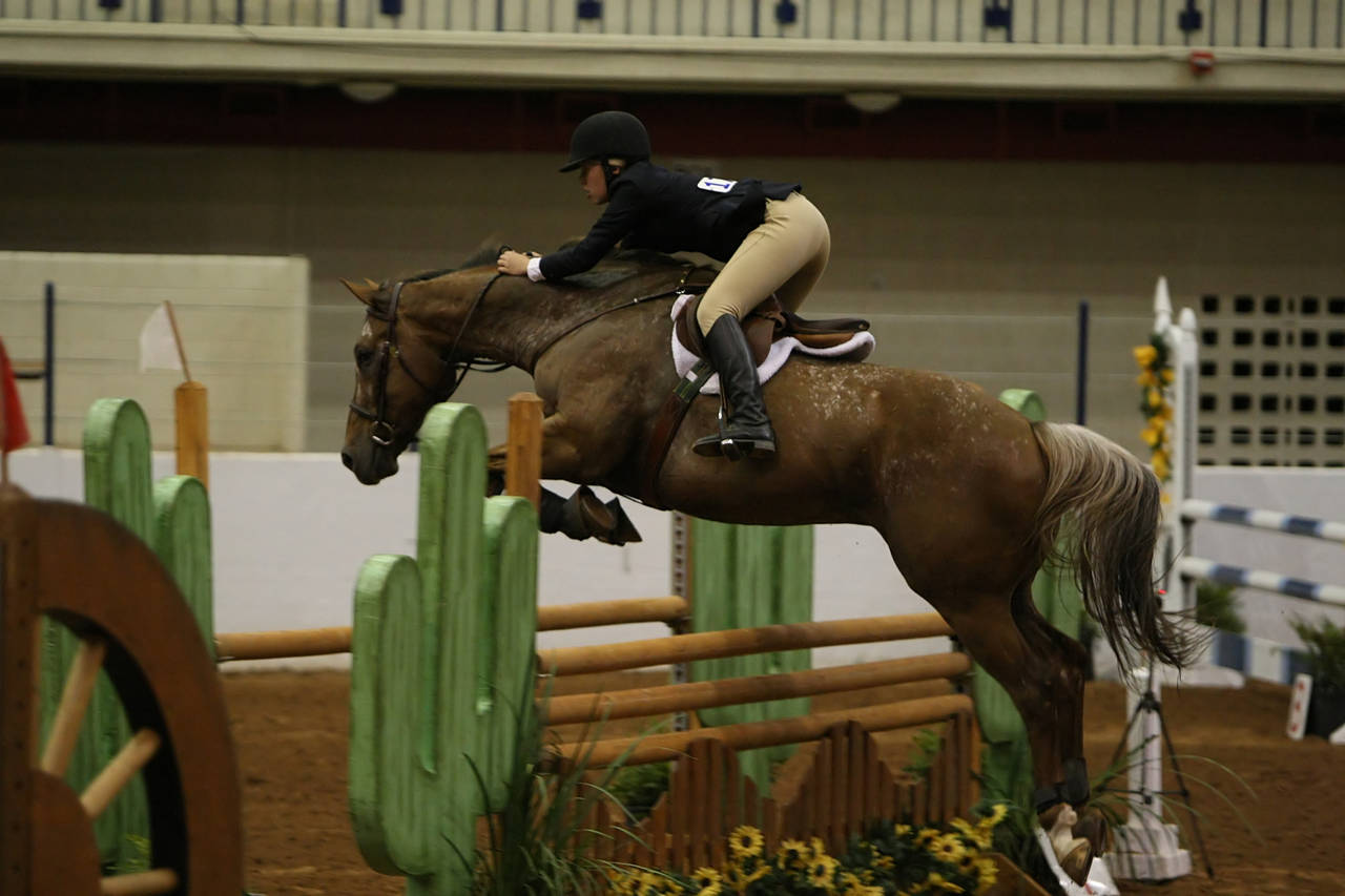 pictures/HorseShows/WacoJune2008/JAM_1367.jpg