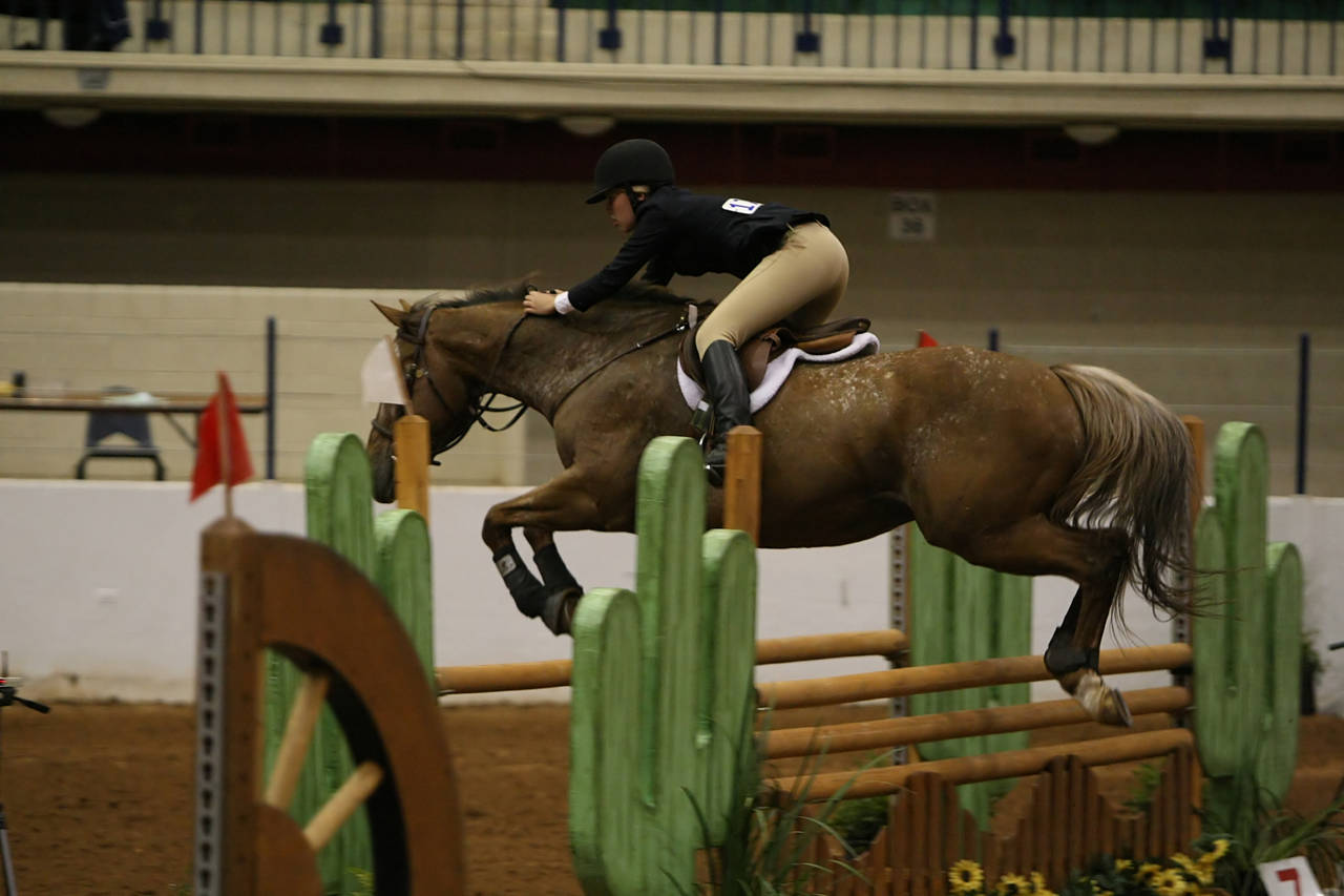 pictures/HorseShows/WacoJune2008/JAM_1368.jpg