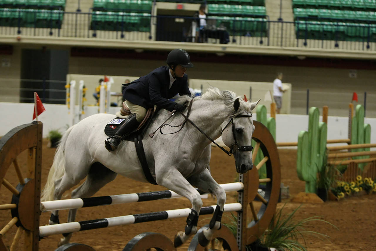 pictures/HorseShows/WacoJune2008/JAM_1379.jpg