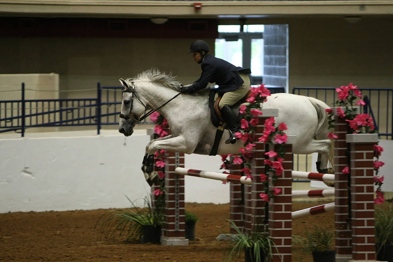 pictures/HorseShows/WacoJune2008/JAM_1389.jpg