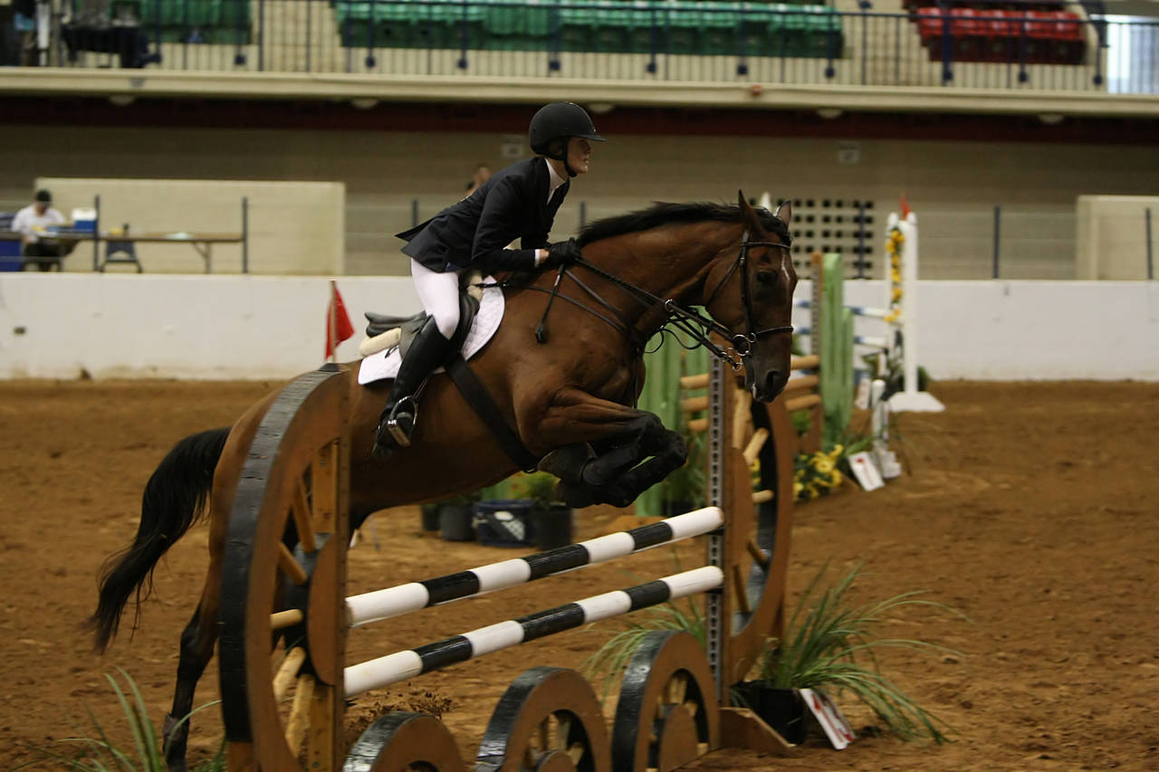 pictures/HorseShows/WacoJune2008/JAM_1395.jpg