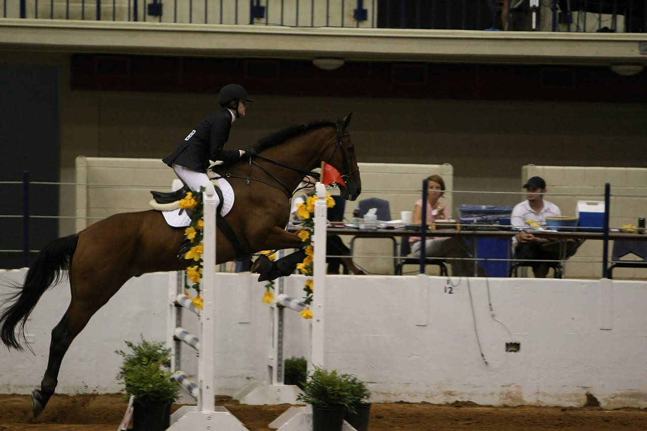 pictures/HorseShows/WacoJune2008/JAM_1402.jpg