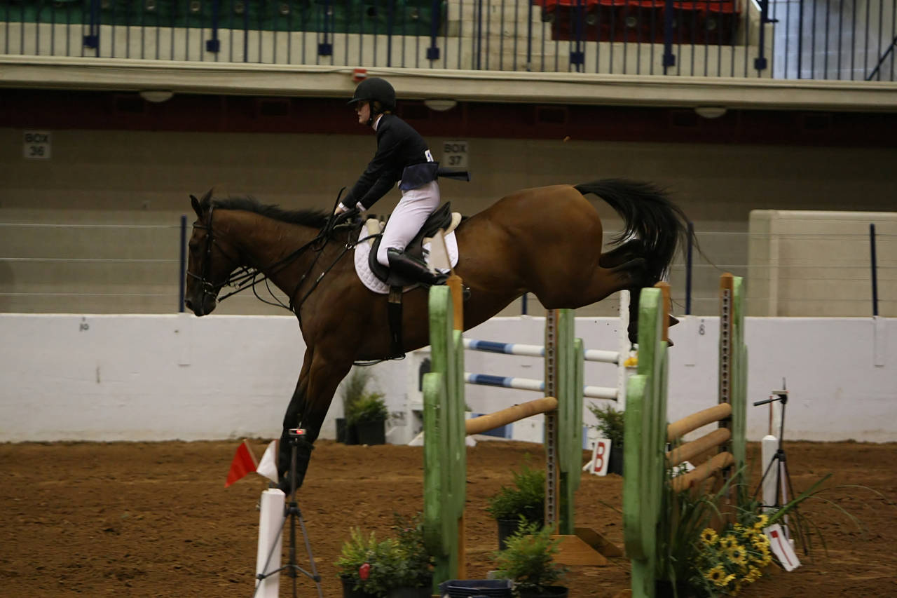 pictures/HorseShows/WacoJune2008/JAM_1406.jpg