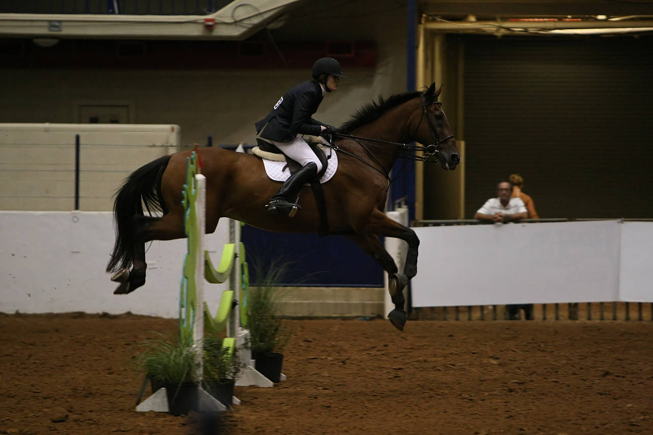 pictures/HorseShows/WacoJune2008/JAM_1411.jpg