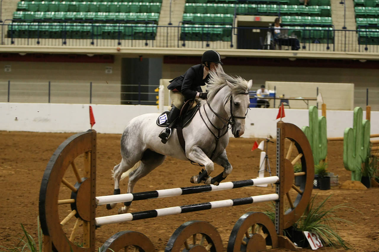 pictures/HorseShows/WacoJune2008/JAM_1423.jpg