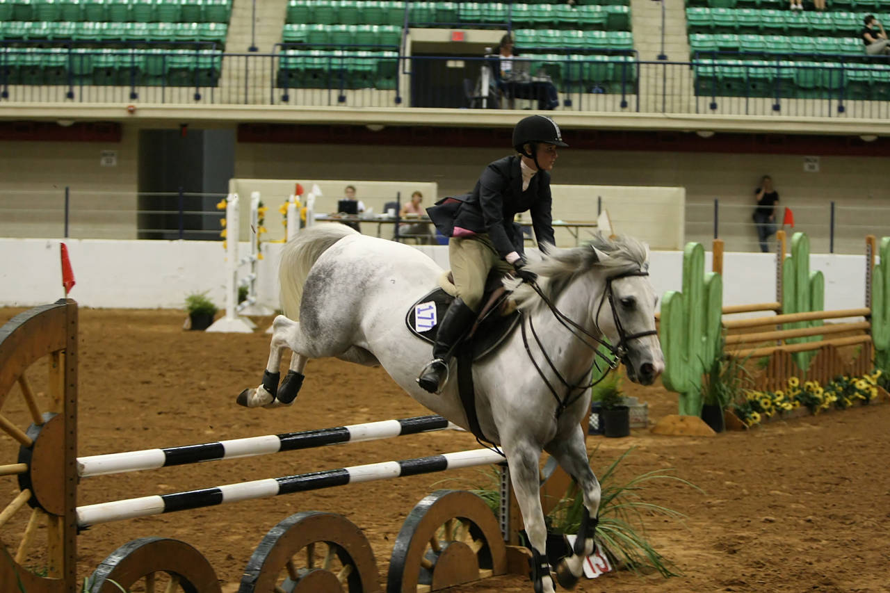 pictures/HorseShows/WacoJune2008/JAM_1425.jpg