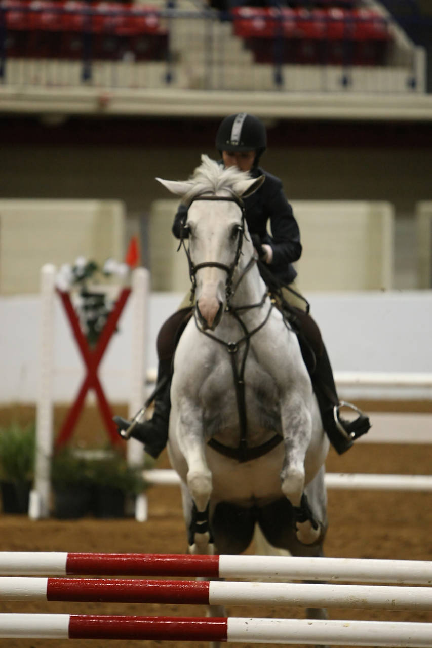 pictures/HorseShows/WacoJune2008/JAM_1426.jpg