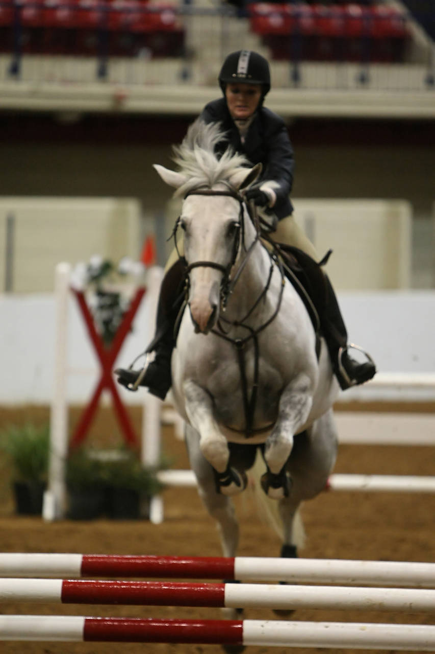 pictures/HorseShows/WacoJune2008/JAM_1427.jpg