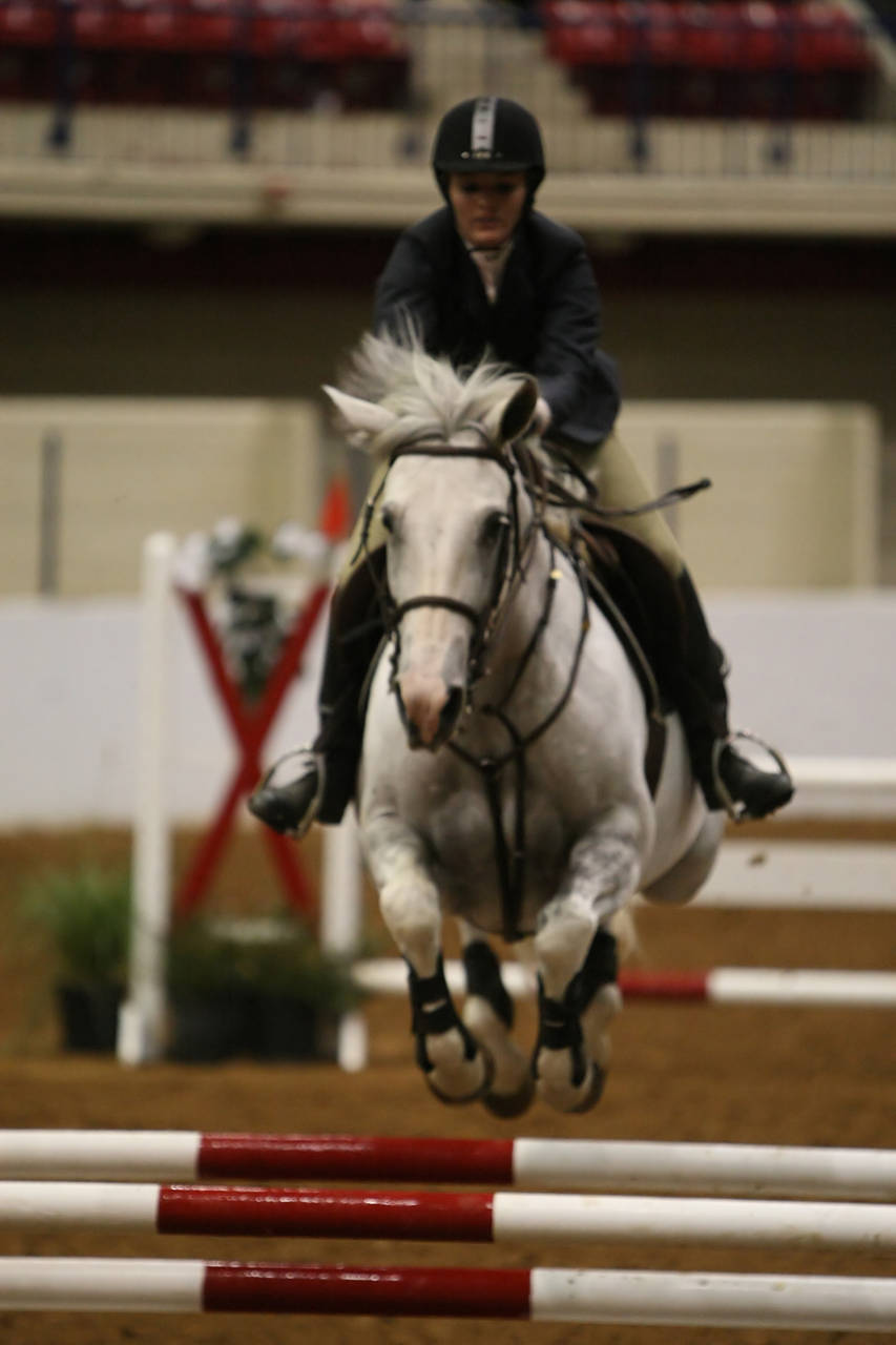 pictures/HorseShows/WacoJune2008/JAM_1428.jpg