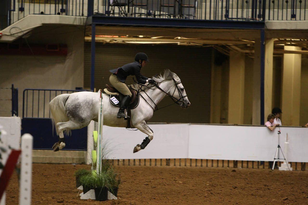 pictures/HorseShows/WacoJune2008/JAM_1445.jpg