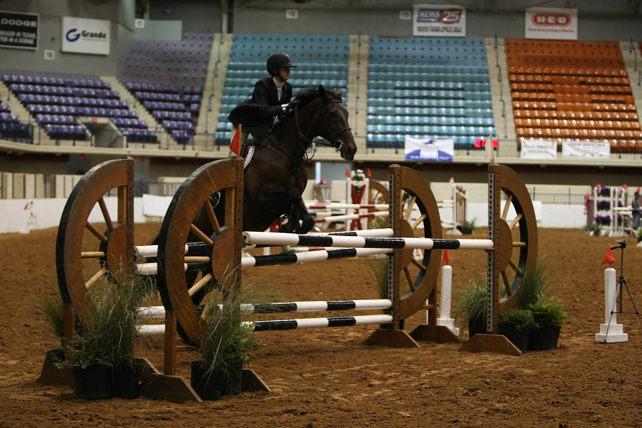 pictures/HorseShows/WacoJune2008/JAM_1447.jpg