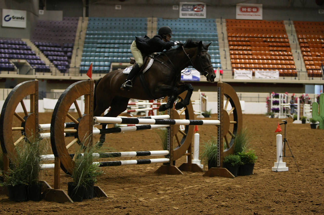 pictures/HorseShows/WacoJune2008/JAM_1449.jpg