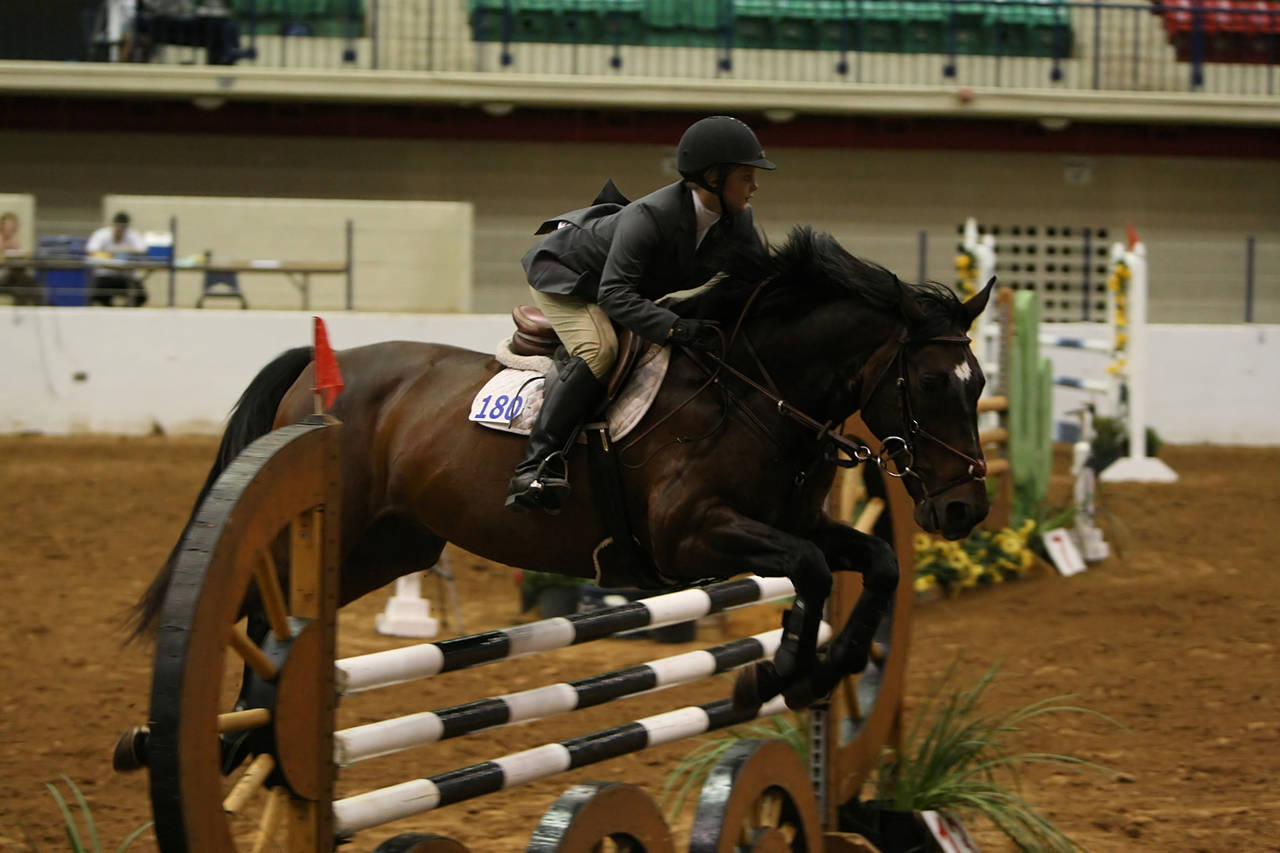 pictures/HorseShows/WacoJune2008/JAM_1450.jpg