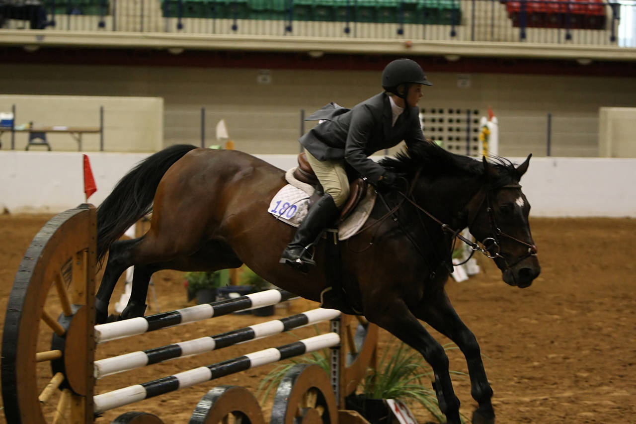 pictures/HorseShows/WacoJune2008/JAM_1451.jpg