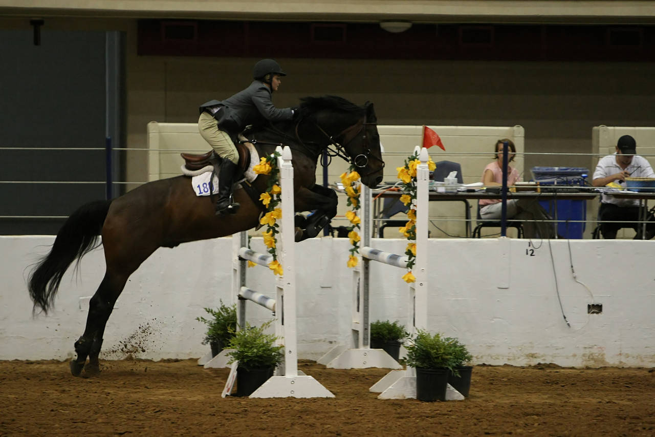 pictures/HorseShows/WacoJune2008/JAM_1456.jpg