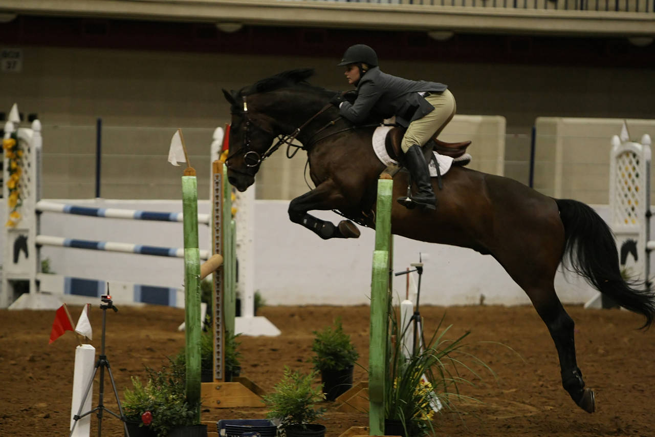 pictures/HorseShows/WacoJune2008/JAM_1458.jpg