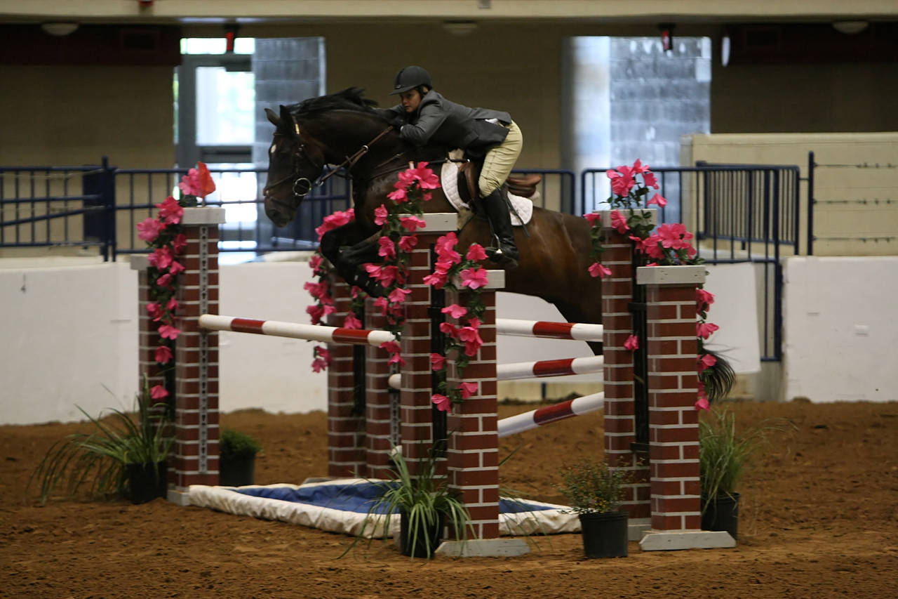 pictures/HorseShows/WacoJune2008/JAM_1463.jpg