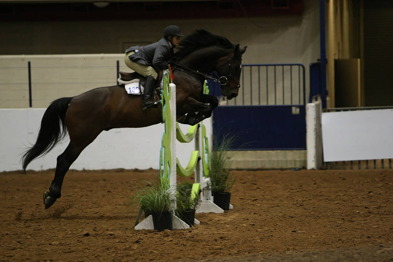 pictures/HorseShows/WacoJune2008/JAM_1467.jpg