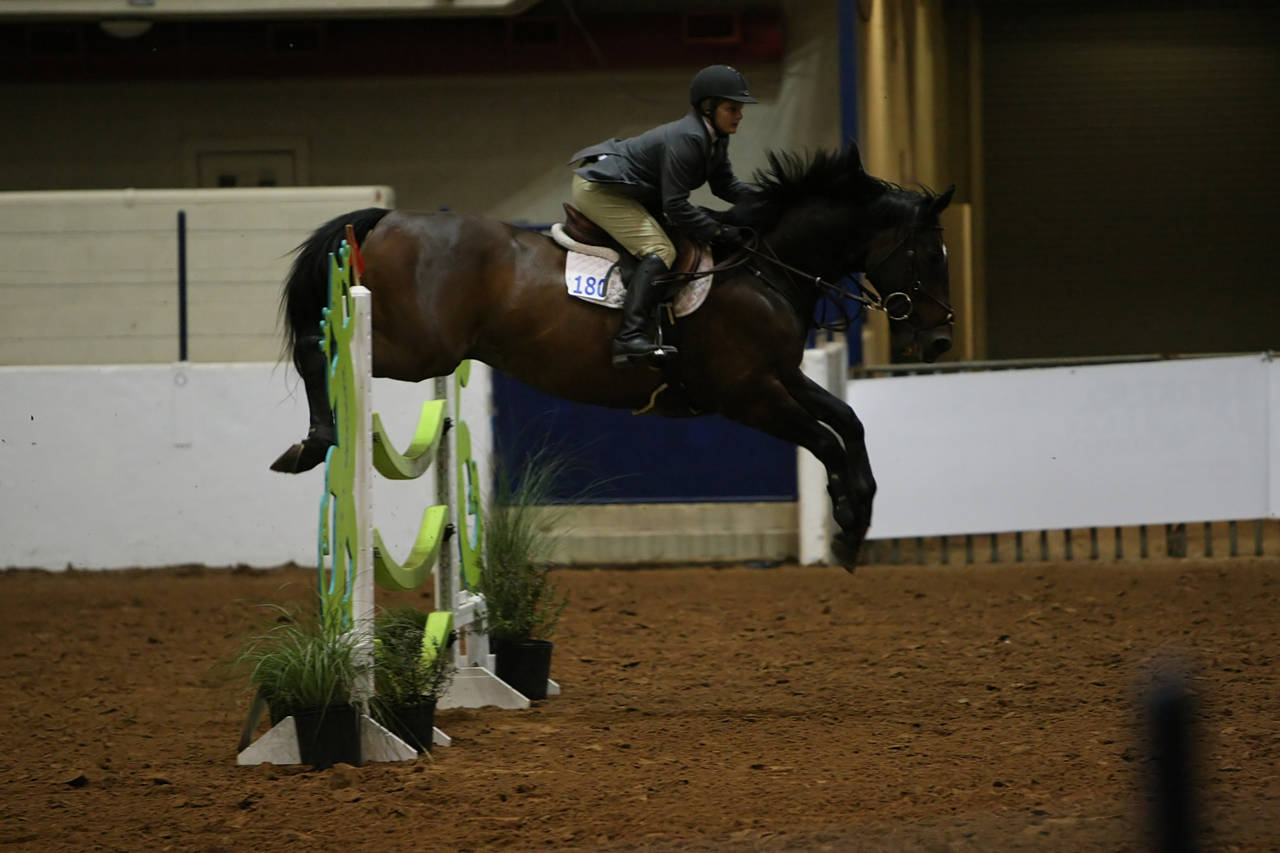 pictures/HorseShows/WacoJune2008/JAM_1469.jpg