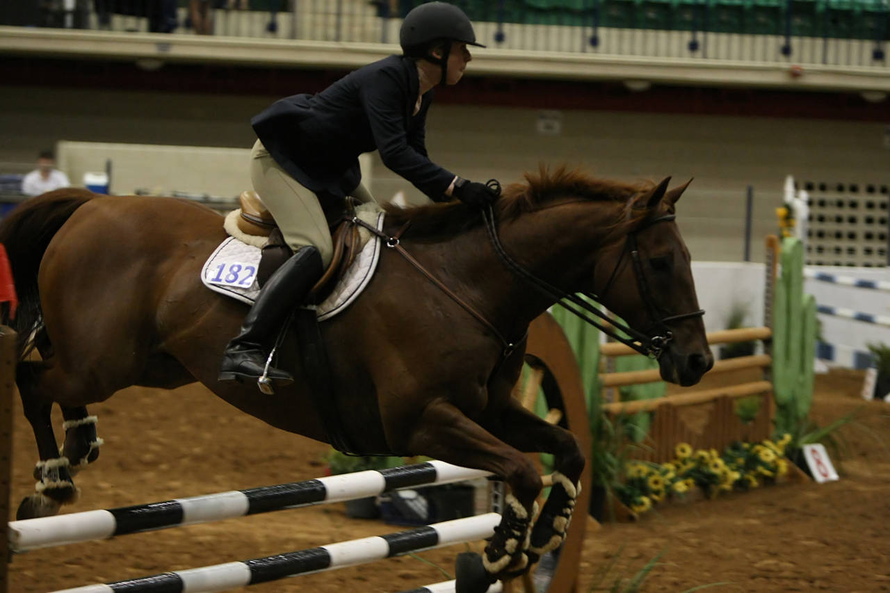 pictures/HorseShows/WacoJune2008/JAM_1479.jpg