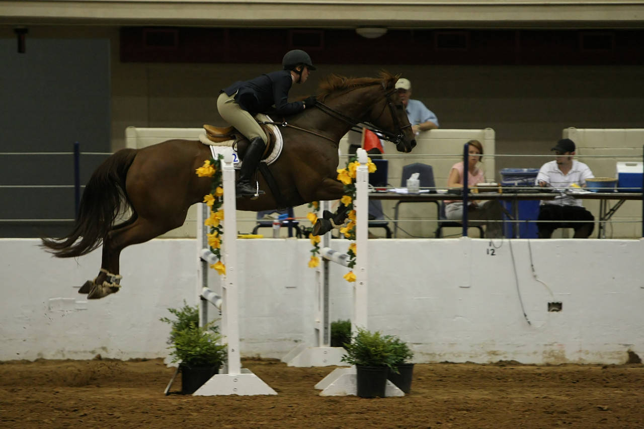 pictures/HorseShows/WacoJune2008/JAM_1486.jpg